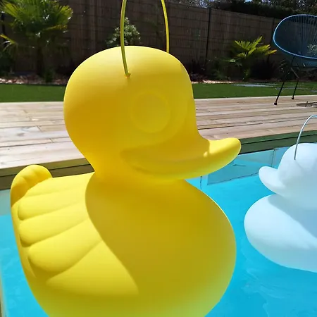 Villa C With Private Pool & Near Atlantic Ocean Vielle-Saint-Girons